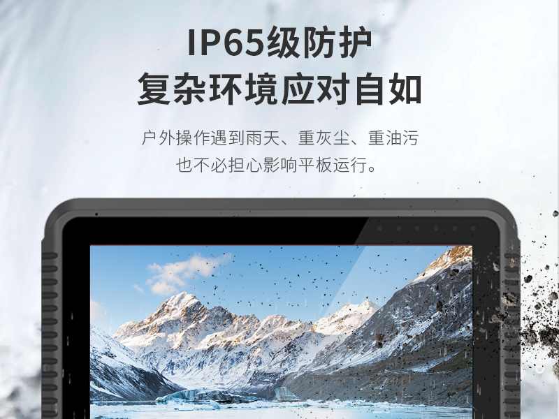 8英寸工業平板電腦,IP65級防護,DTP-0809-N5100
